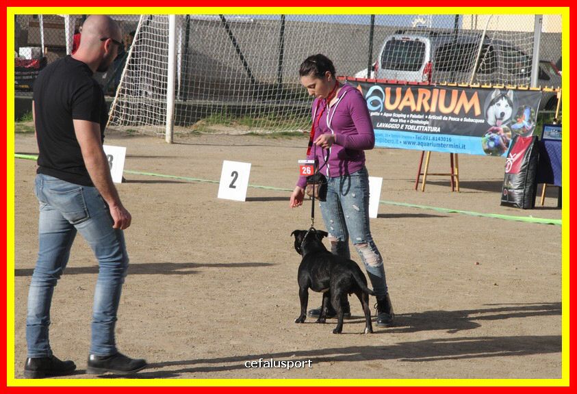 180311 mostra_canina 184.jpg